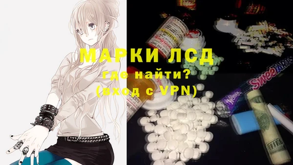 ECSTASY Богородицк